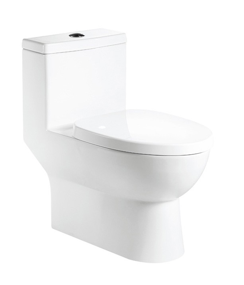 one-piece-dual-flush-floorstand-toilets-model-op-w7025x